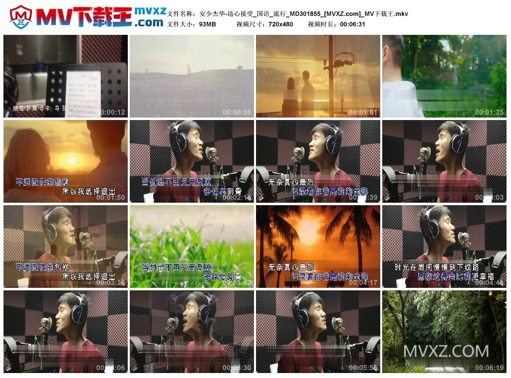 安少杰华-违心接受_国语_流行_MD301855